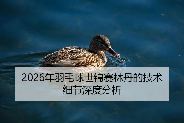 2026年羽毛球世锦赛林丹的技术细节深度分析 - HTH Sports