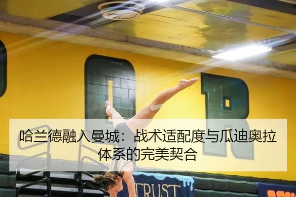 ha-lan-de-rong-ru-man-cheng-zhan-shu-shi-pei-du-yu-gua-di-ao-la-ti-xi-de-wan-mei-qi-he-3-300.jpg