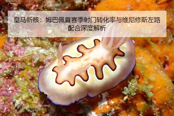 皇马新核：姆巴佩首赛季射门转化率与维尼修斯左路配合深度解析